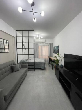 Nice Studio in Recoleta